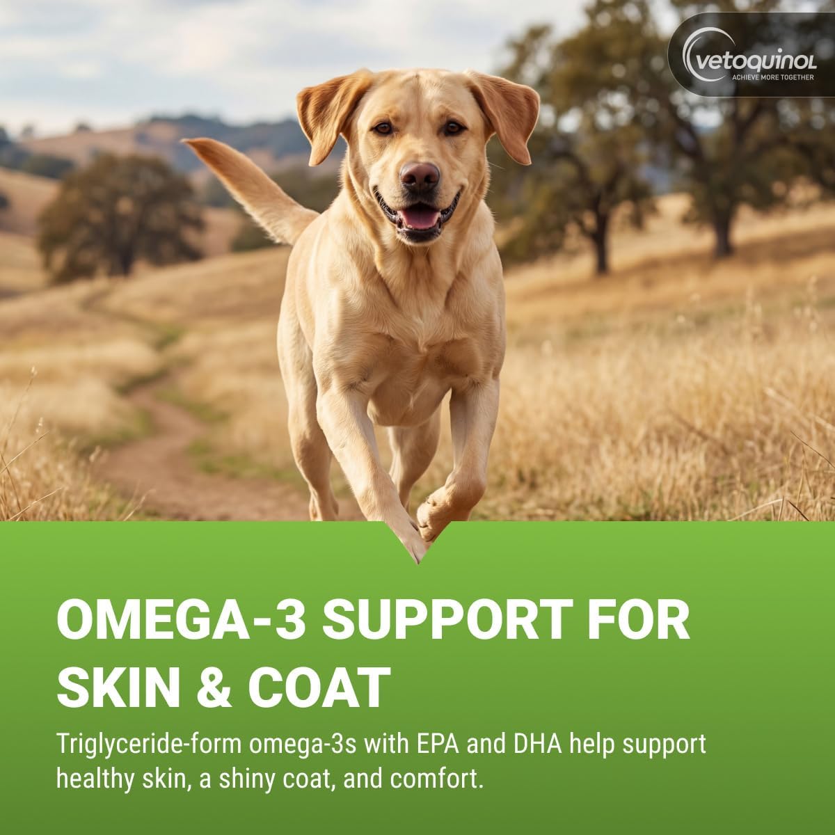 Vetoquinol Triglyceride Omega Fish Oil for Dogs & Cats, 250 Capsules - görsel 2