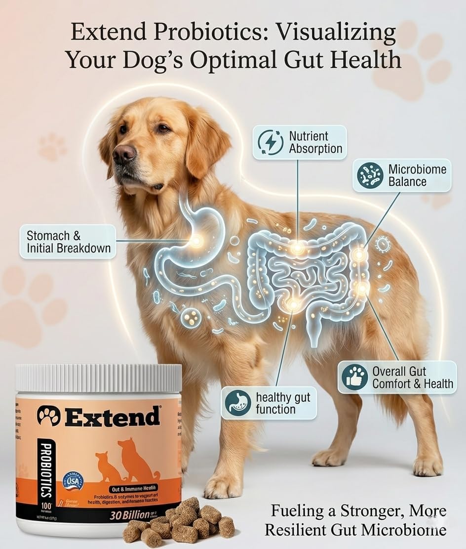 Extend Probiotics for Dogs - Digestive Health, Immune & Allergy Support - 100 Soft Chews - görsel 5