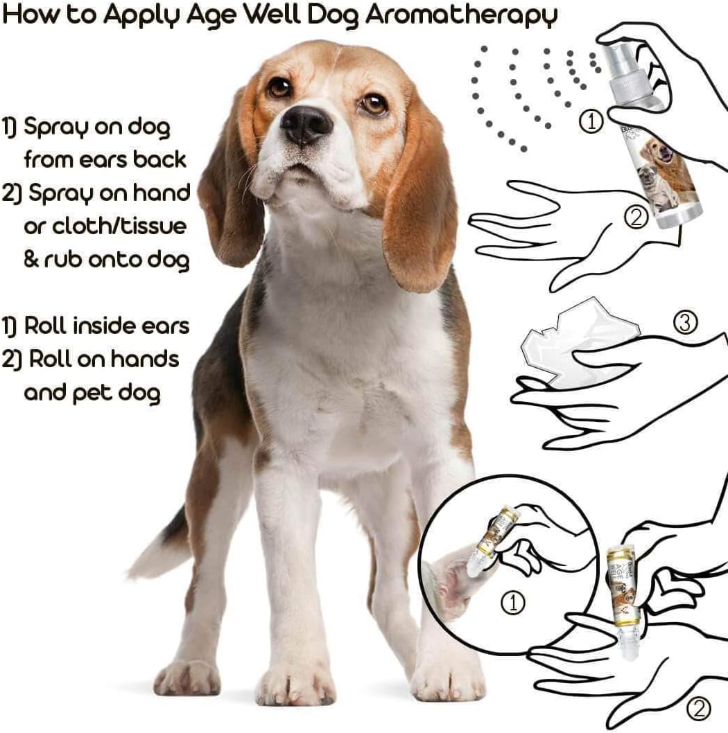 The Blissful Dog Beagle Age Well Spray Aromatherapy - 80 ml - görsel 4