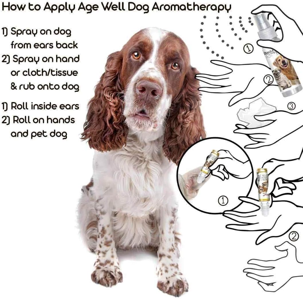 The Blissful Dog Springer Spaniel Age Well Aromatherapy Spray - görsel 4