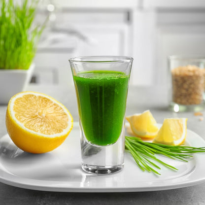 Jovvily Wheat Grass Powder - Superfood, No Fillers, 1 lb (454 g)