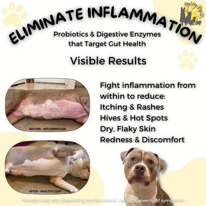 Sixteen Pawz Dog & Cat Probiotics, – Hairball Reduction in Cats: For cats with sensitive stomachs, probiotics can – Image 5