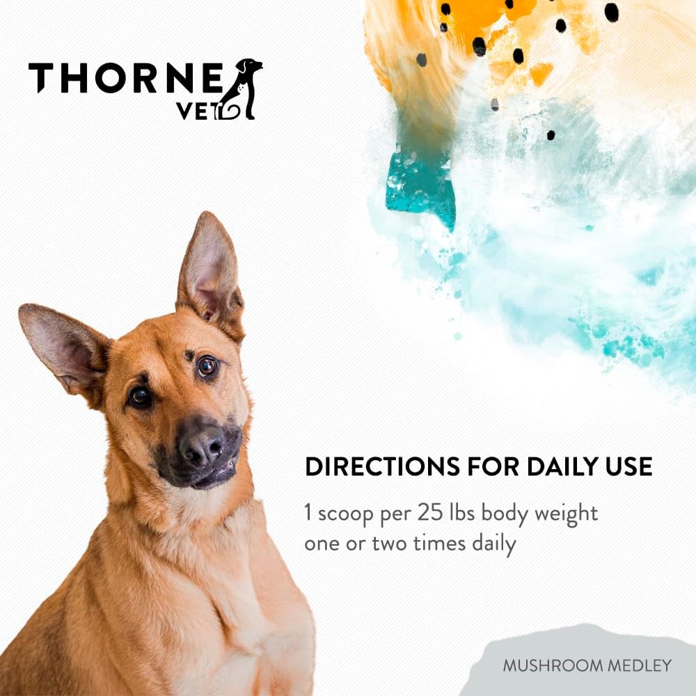 Mushroom Medley for Dogs - Immune Support Plus Antioxidants - with Reishi, Turkey Tail, Cordyceps, Maitake, and Chaga Mushrooms - Support for Dogs with Compromised Immunity - 120 Scoops - görsel 6