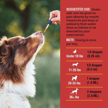 Cat & Dog Urinary Tract Support – Natural Cranberry Drops for Bladder and Kidney Health – Supports Incontinence and Frequent Urination – Pet Renal Care Drops