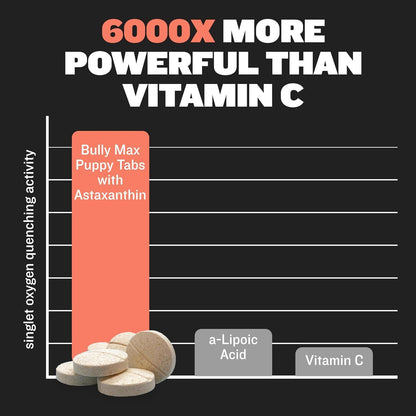 Bully Max 2-in-1 Puppy Vitamins - 30 Chewable Tablets for Growth and Development of Puppies - Multivitamin Treats and Essential Dog Supplements for Small Dogs and Large Breed Growing Pups - 2 Bottles