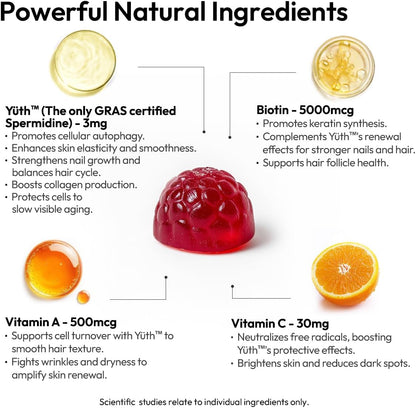 BIGVITA Yuth Gummies + | Spermidine Gummies for Hair Growth, Skin & Nails | High-Purity Spermidine Food Supplement for Cellular Renewal & Anti-Ageing | Collagen Support with Vitamin C & Vitamin A