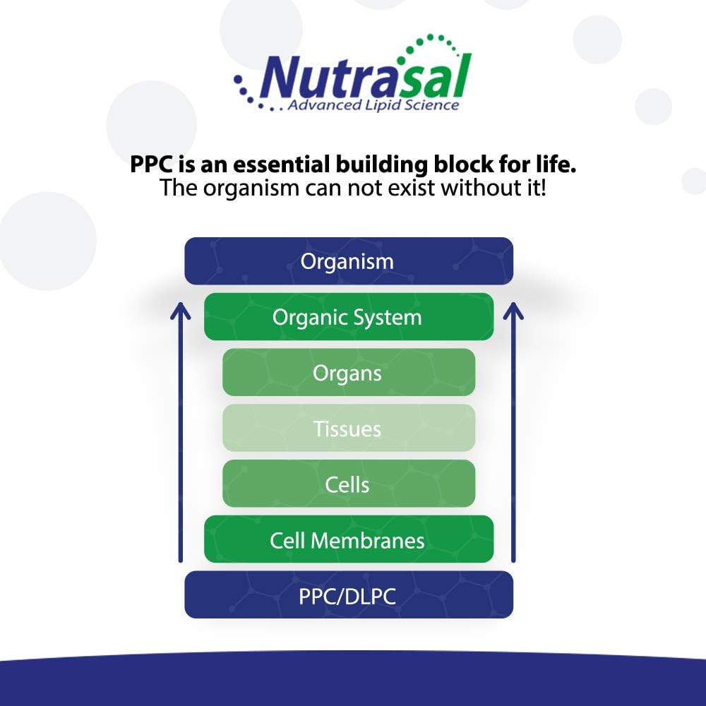 Nutrasal PhosChol PPC - Polyenyl Phosphatidylcholine Liquid Supplement - 480 ml (96 Servings) - görsel 4