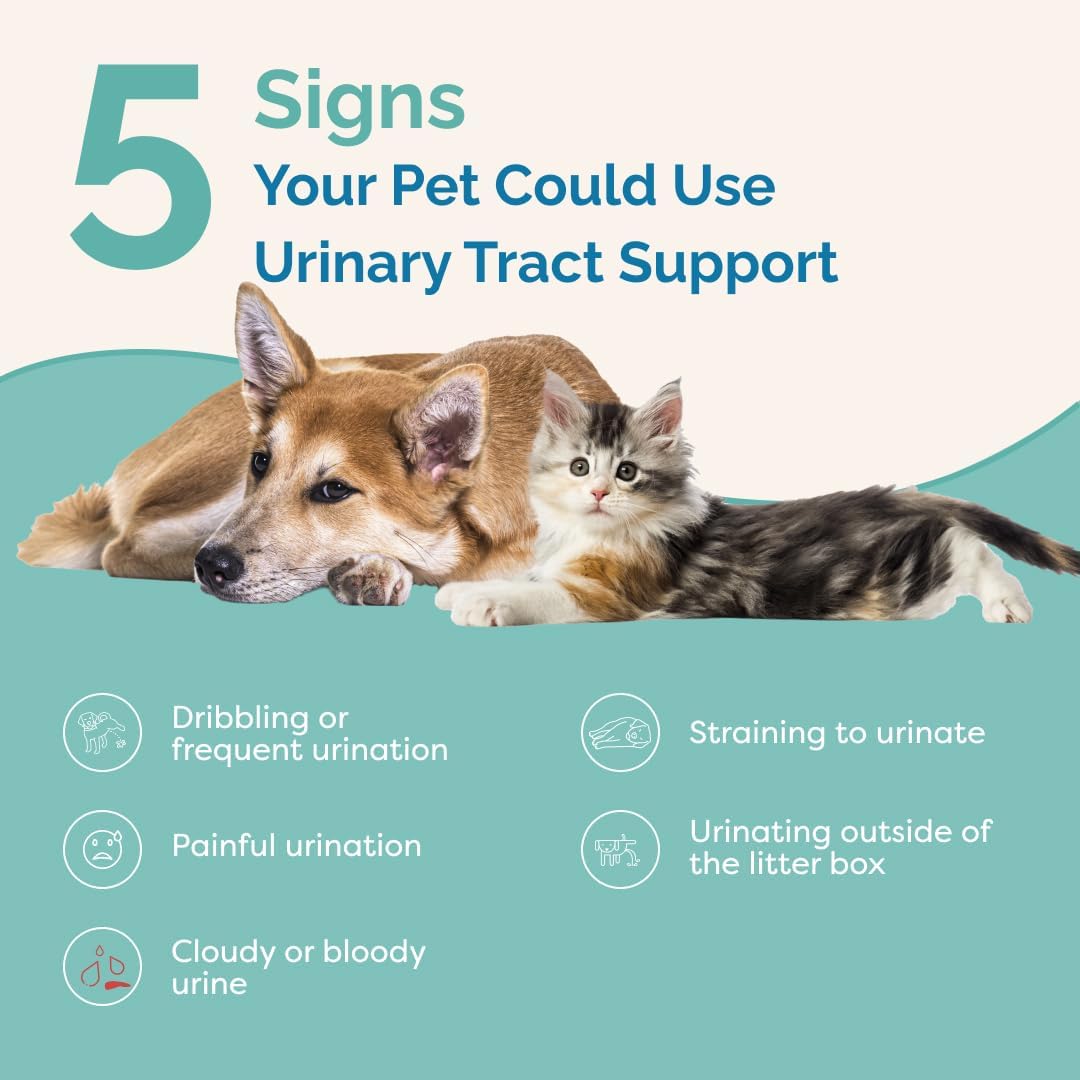PranaPets Urinary Tract Support Liquid Supplement for Pets - görsel 2