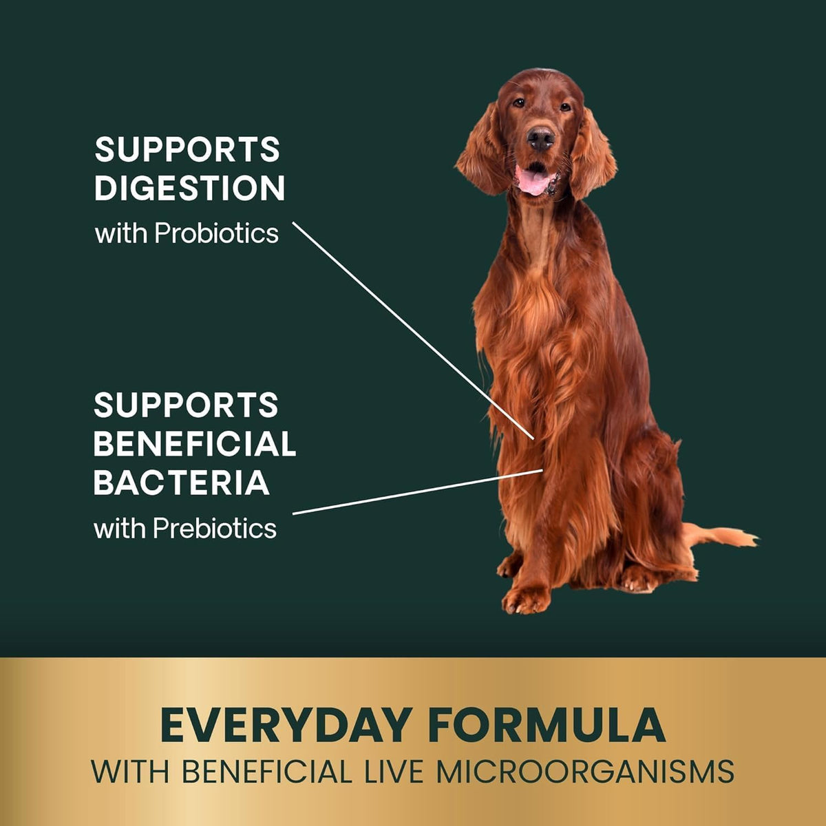 VetriScience Gut Health Chews, Probiotic Digestive Supplement for Dogs, Duck, 120 Chews - görsel 4