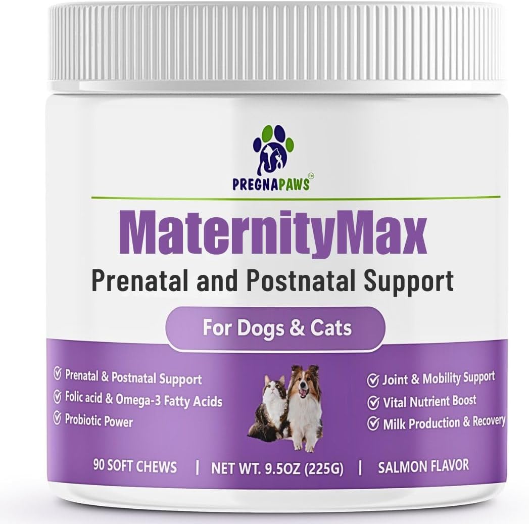 Prenatal Vitamins for Dogs & Cats – Pre & Postnatal Supplement with Probiotics, Glucosamine, MSM, CoQ10, & Essential Vitamins – Supports Pregnancy, Nursing & Recovery – 90 Soft Chews (Salmon Flavour) - görsel 1