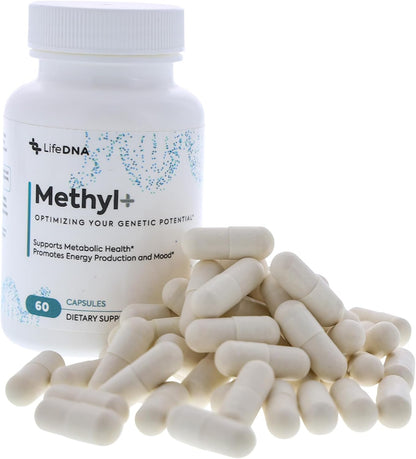LIFEDNA Methyl + Methylfolate - Methylated Folate Vitamins Active 5-MTHF TMG Optimised Homocysteine, Brain, Cardiovascular Highly Bioavailable, MTHFR Supplement