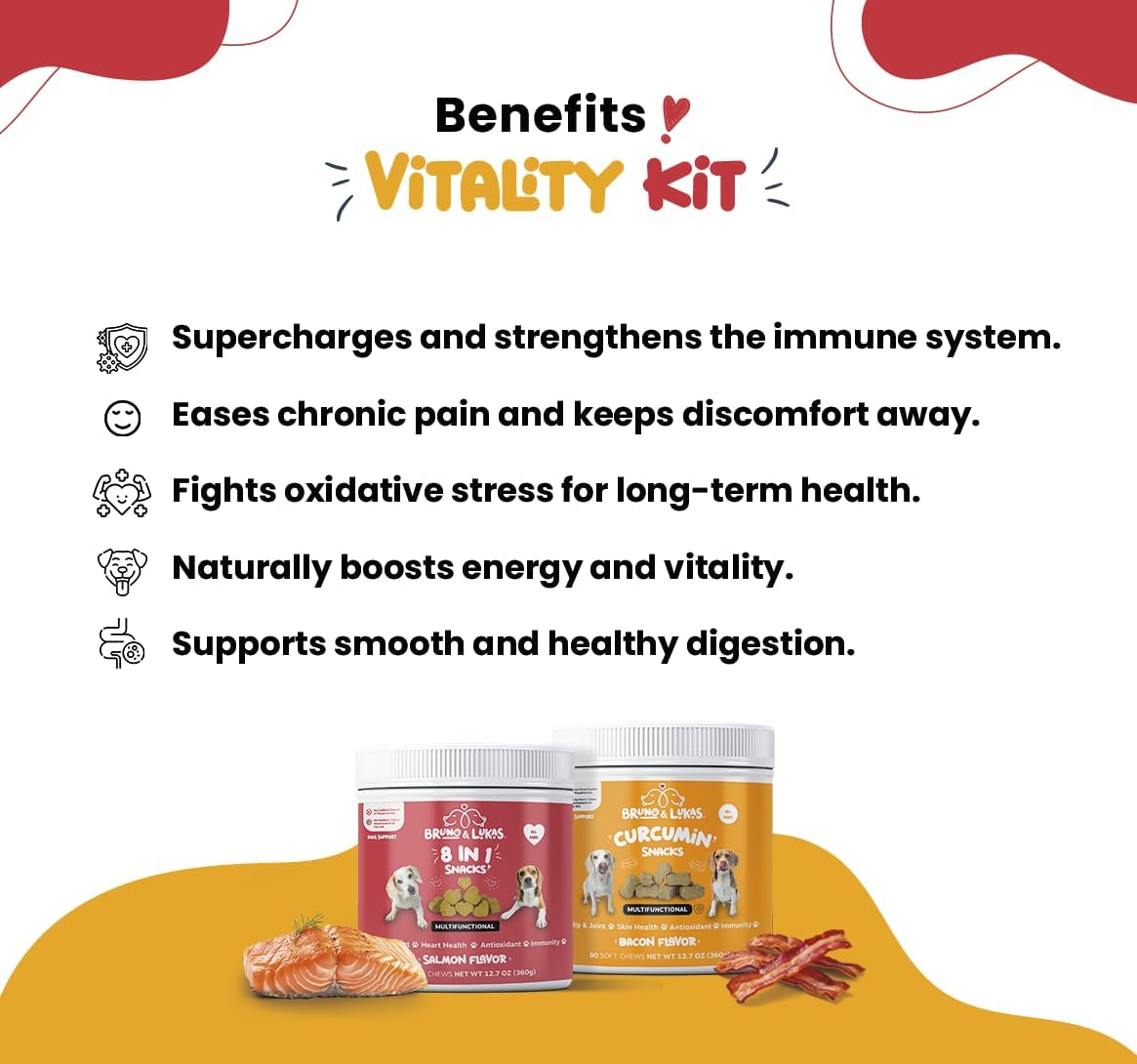 Bruno & Lukas Turmeric & Multivitamin Chews for Dogs – 10-in-1 Supplement with Glucosamine, Curcumin, Omega Fish Oil & Antioxidants – Joint, Immune, Digestive, Skin & Coat Support (90 Chews) - görsel 5