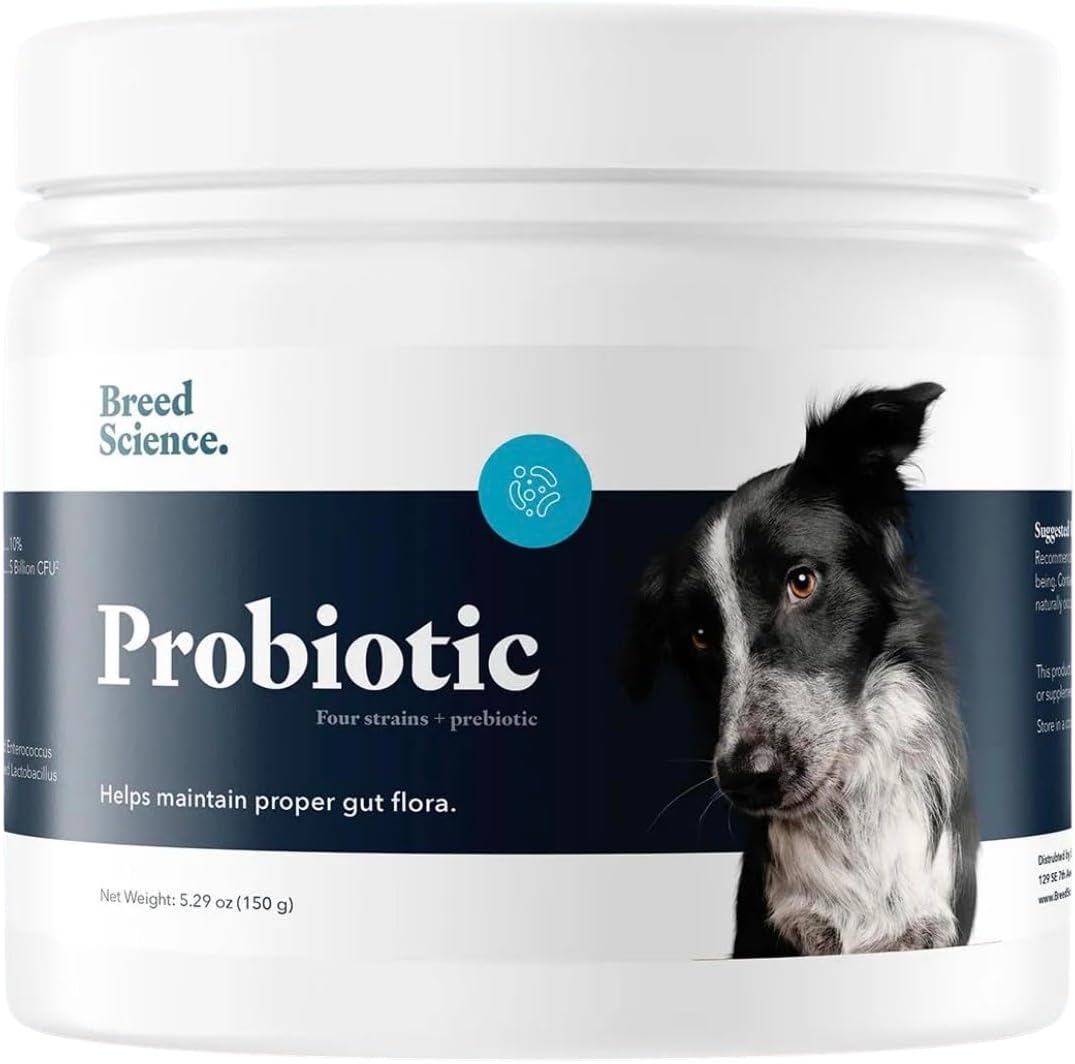 Probiotic and Prebiotic Powder for Dogs - Digestive Health and Immune Support Supplement - görsel 6