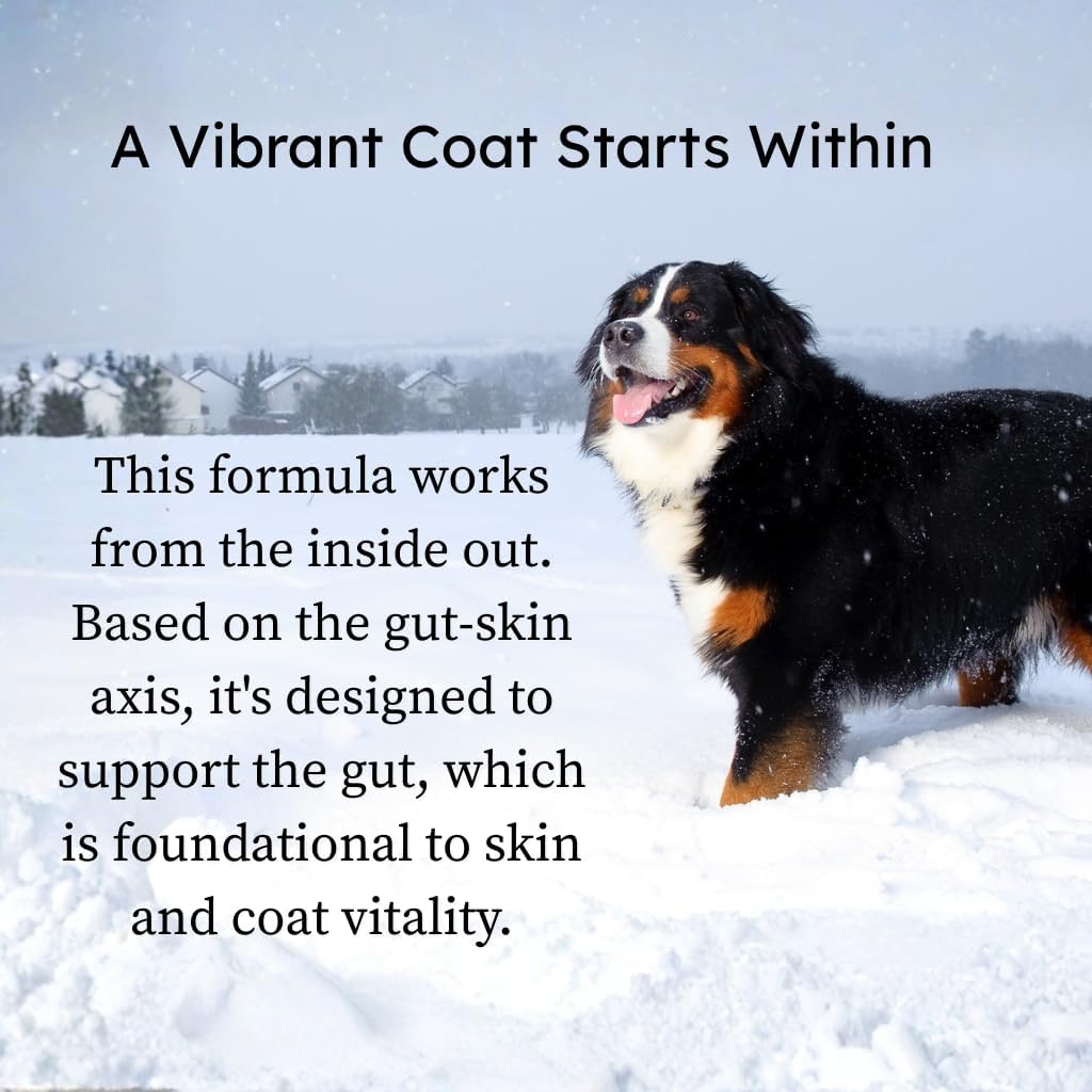 PetCultures Skin & Coat Tribiotic Dog – Gut-Skin Axis Balance: The Tribiotic system of prebiotics, probiotics, and – Image 2