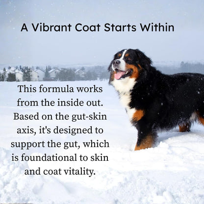 PetCultures Skin & Coat Tribiotic Dog – Gut-Skin Axis Balance: The Tribiotic system of prebiotics, probiotics, and – Image 2