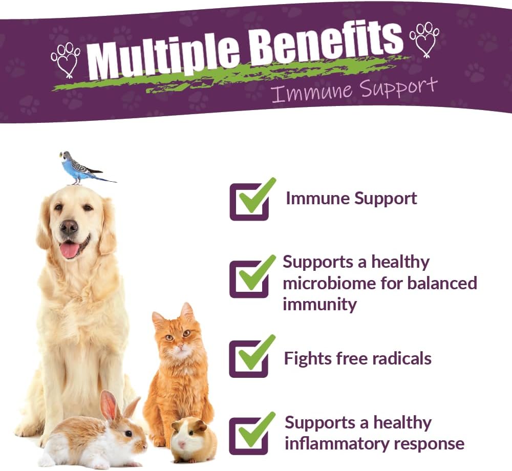 Amber NaturalZ Vibactra Immune Support Herbal Supplement for Pets - 1 oz - görsel 2
