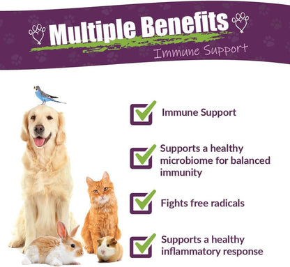 Amber NaturalZ Vibactra Immune Support Herbal Supplement for Pets - 1 oz