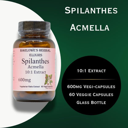 Spilanthes Acmella Extract | 600mg Per Capsule | Herbal Supplement for Natural Wellbeing & Balance | 60 Vegan Capsules | Stearate-Free, Glass Bottled for Freshness