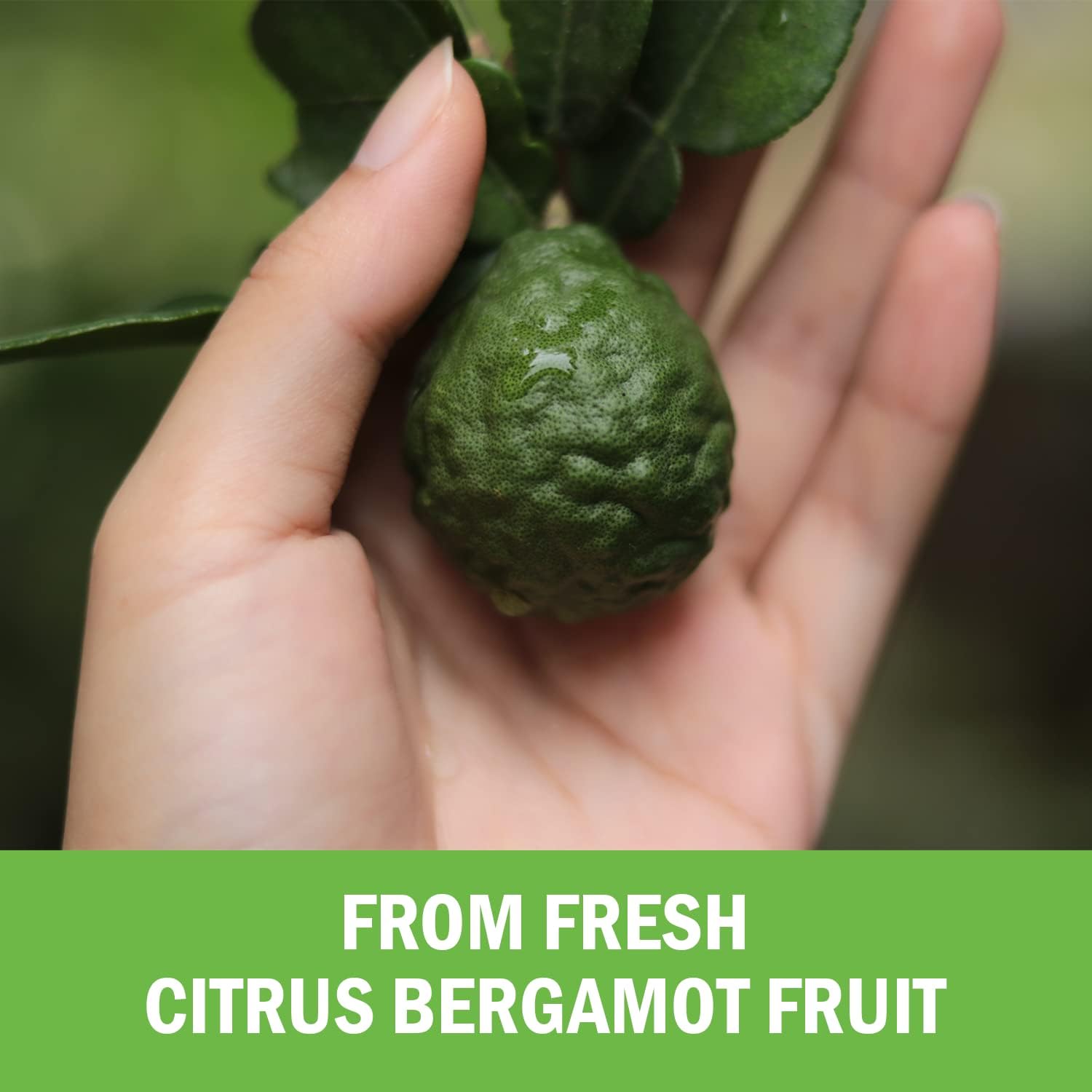 BioSchwartz Citrus Bergamot 1000mg - Ultra Concentrated Supplement for Heart Health - Vegan, Non-GMO, Gluten-Free - 120 Mini Capsules - görsel 4