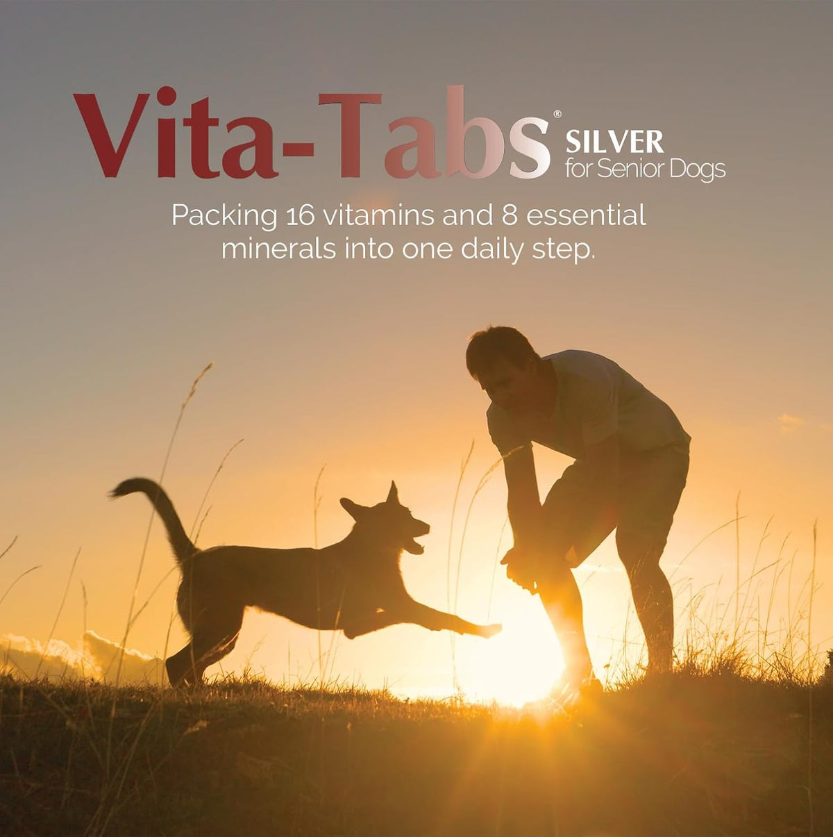 Vita-Tabs Silver - Vitamins, Minerals, Nutrients - Support for Older Dog - Supplement for Healthy Bone, Joint, Energy, Immune System - 100 Chewable Tablets - görsel 2