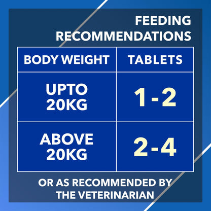 Drools Absolute Vitamin Tablets - Dog Supplement, 50 Tablets for All Breeds, Preservative-Free