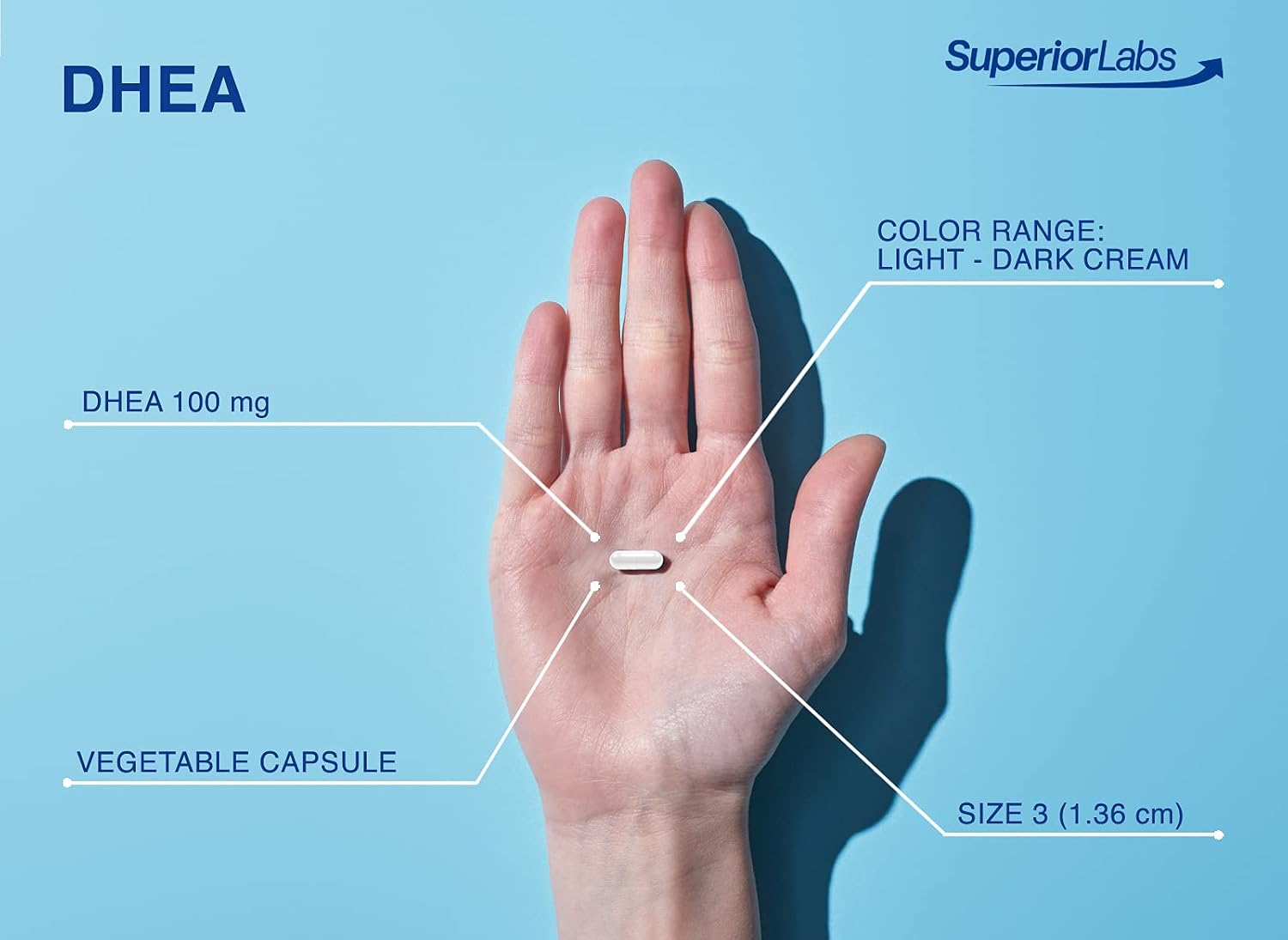 Superior Labs Extra Strength Natural DHEA 100 mg, 60 Vegetable Capsules - görsel 6