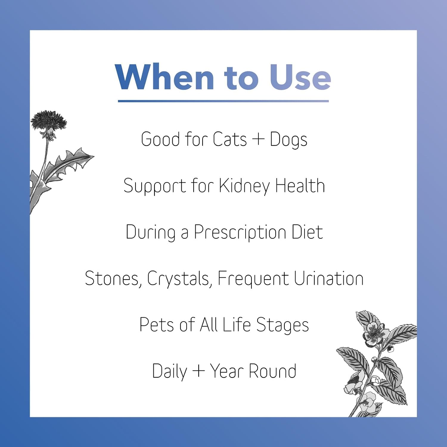 InClover Kidney – Bladder and Urinary Health Supplement for Dogs and Cats - görsel 5