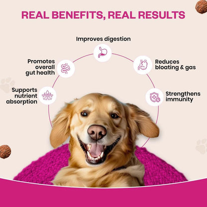 TailsAlive Probiotic Soft Chews for Dogs | Six Probiotic Strains for Gut Health & Digestion | Chicken Flavour | Supports Immune Function | 90 Soft Chews
