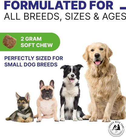 Probiotics for Dogs Soft Chews, 120 Chews – Complete Gut Care for Digestive & Immune Support | Probiotics for Digestive Health | Pet Probiotics 255 g Jar - Probiotic for Dogs