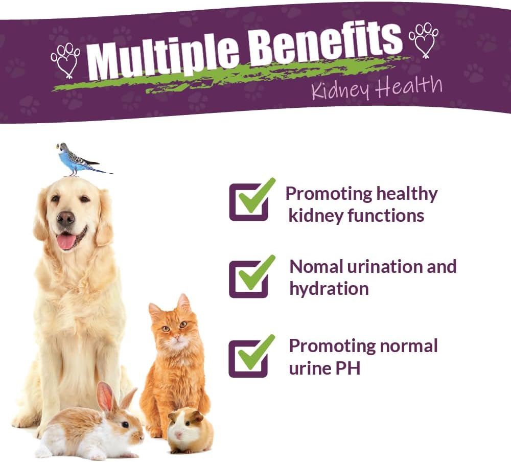 Amber NaturalZ Kidney Rejuvenator Herbal Supplement for Pets – 4 fl oz - görsel 2
