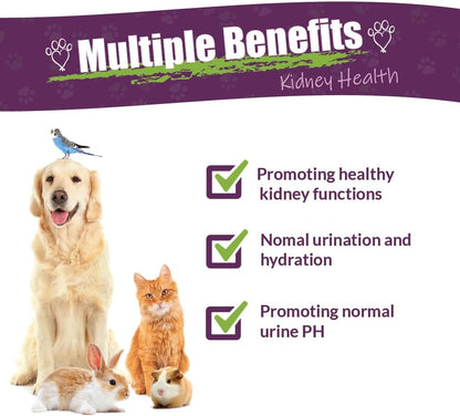 Amber NaturalZ Kidney Rejuvenator Herbal Supplement for Pets – 4 fl oz