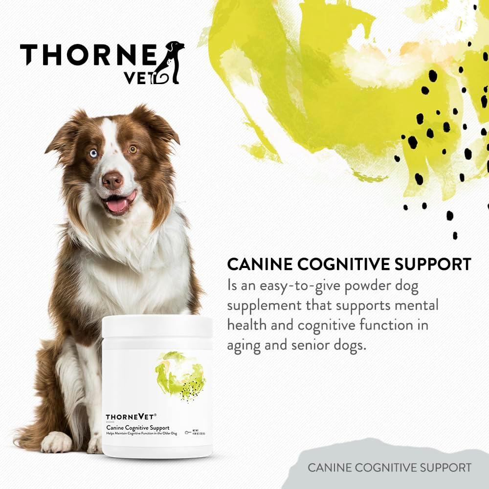 Canine Cognitive Support Powder for Dogs - Brain Health Supplement with B Vitamins and Antioxidants - 90 Scoops - görsel 2