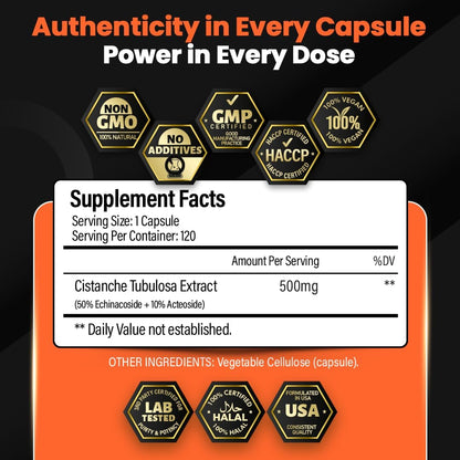 Cistanche Tubulosa Extract 500mg (120 Capsules) – Standardised 50% Echinacosides, 10% Acteosides