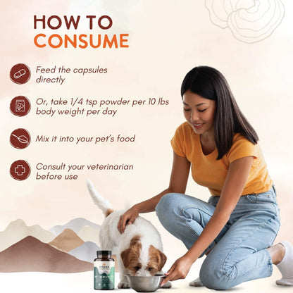 Ohana K9 Immunity, Dog Supplements, Contains 6 USDA Organic Mushroom Extracts for Dog Care, Non-GMO, Gluten-free, 90-Capsule Bottle, Pack of 1