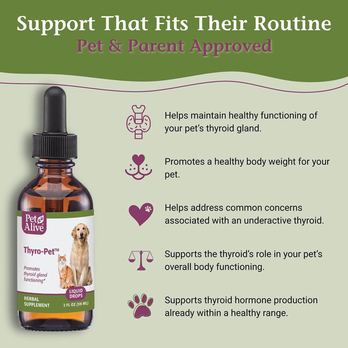 PetAlive Thyro-Pet – Herbal Thyroid Support Supplement for Dogs and Cats – 60 ml Liquid Tincture - görsel 3