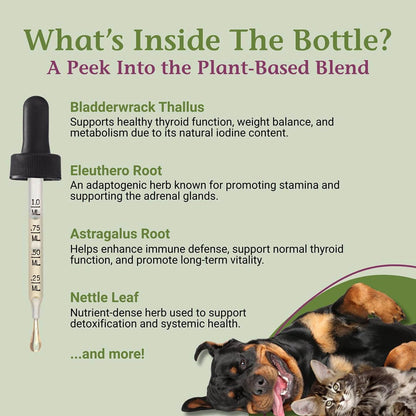 PetAlive Thyro-Pet – Herbal Thyroid Support Supplement for Dogs and Cats – 60 ml Liquid Tincture