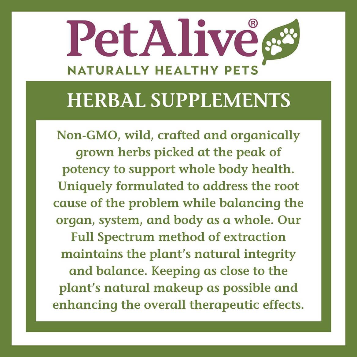 PetAlive Thyro-Pet – Herbal Thyroid Support Supplement for Dogs and Cats – 60 ml Liquid Tincture - görsel 8