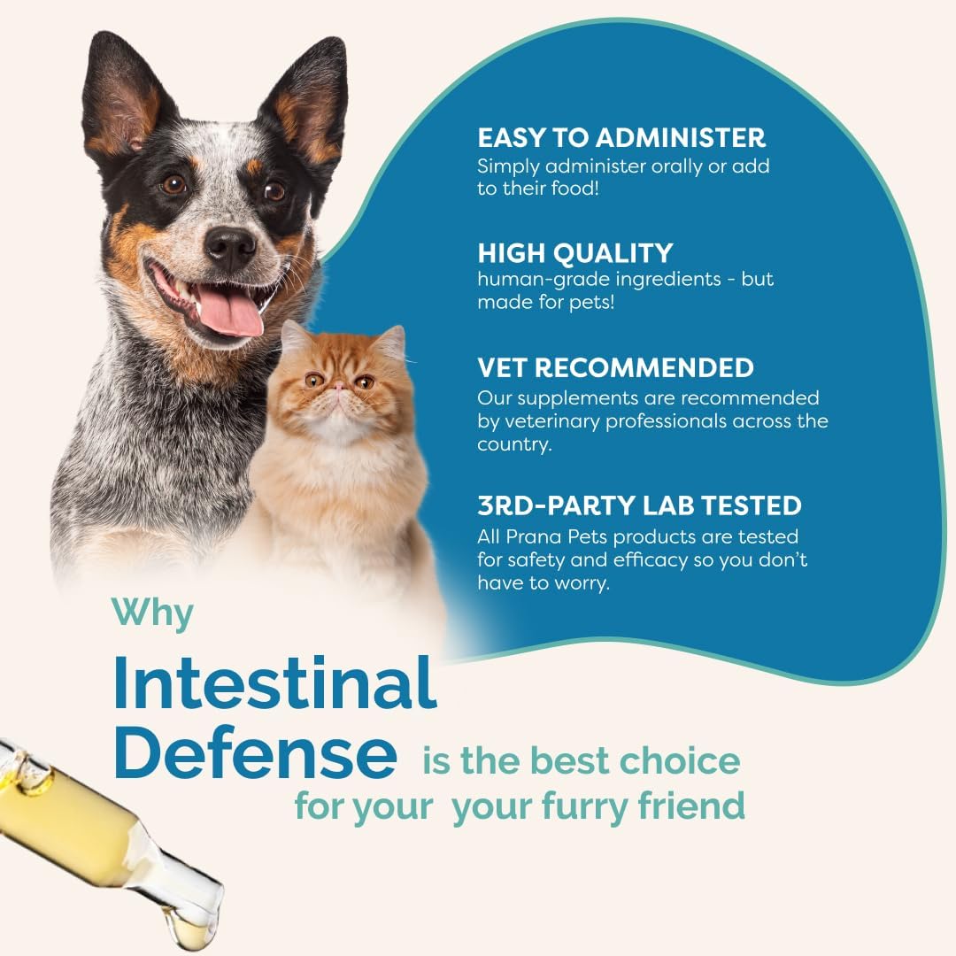 Intestinal Defence Supplement for Dogs & Cats | Herbal Formula for Digestive Health | 2-Pack - görsel 6