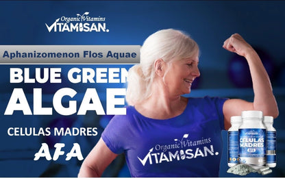 VITAMISAN AFA Blue Green Algae - Aphanizomenon flos-aquae - 240 Capsules