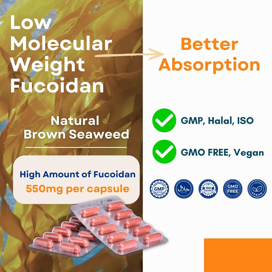 Oligo Fucoidan Capsules ONCOFUCO - Extra Strength Fucoidan Supplement, 60 Vegetarian Capsules - görsel 5