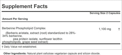 ANDREW LESSMAN Berberine Phospholipid Complex - 240 Capsules