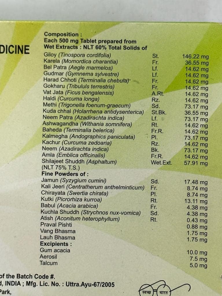 Divya Madhunashini Vati (120 Tablets) - görsel 3