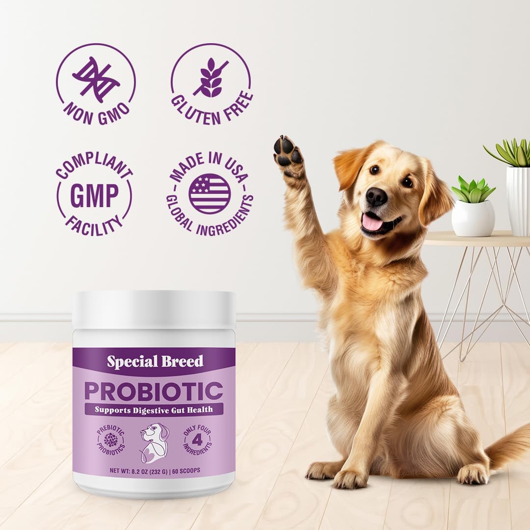 Probiotics for Dogs – Dog Probiotics Powder for Digestive Health, Gut Support & Immune Boost – Premium Blend with Prebiotics & Digestive Enzymes – High Potency – 60 Scoops - görsel 7