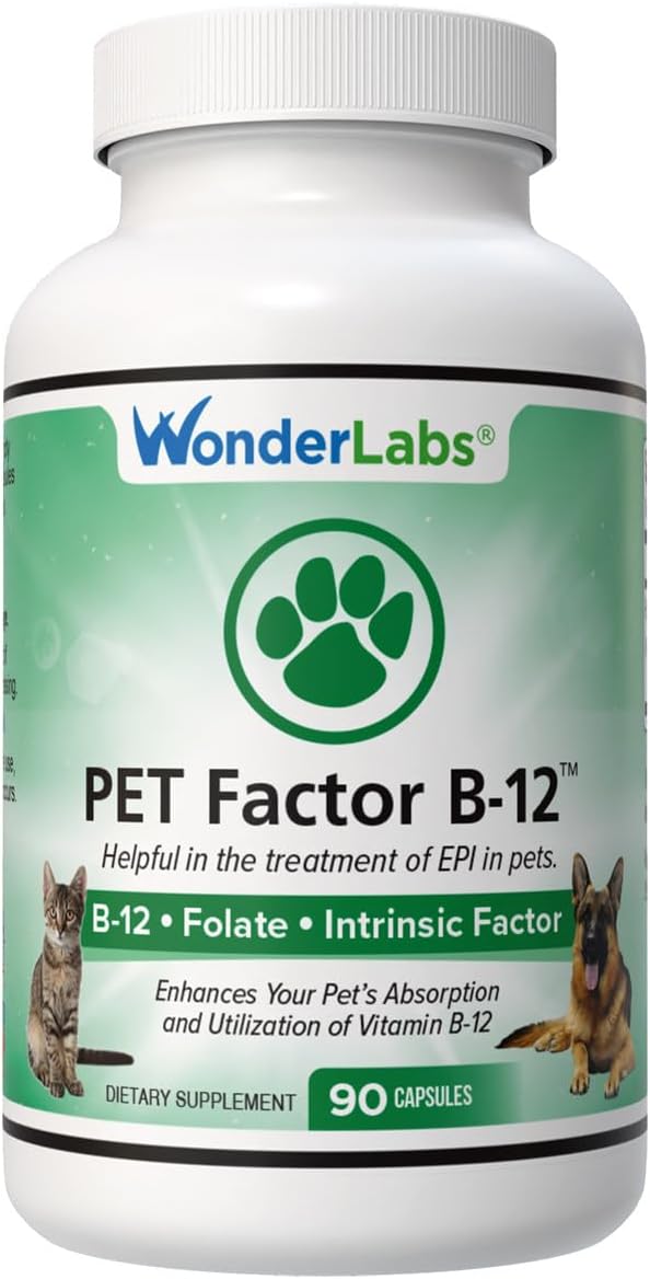 Pet Factor B-12 | Methylcobalamin Vitamin B12 for Dogs - 180 Capsules - görsel 1
