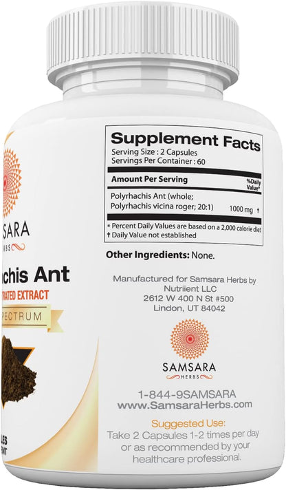 Polyrhachis Black Ant Extract (120 Capsules)