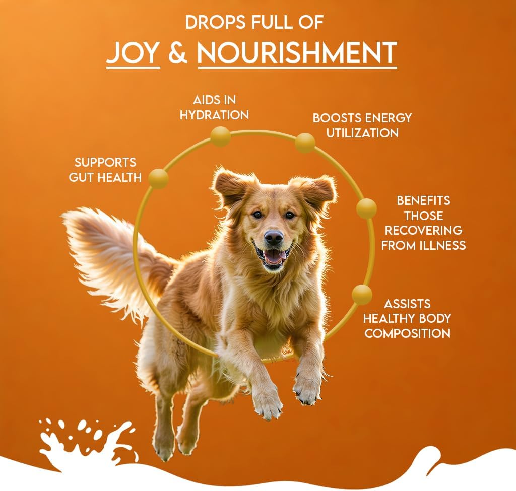 Pawfect Nature's Sip 100% Natural Camel Milk Powder for Dogs & Puppies - Easily Digestible - Source of Vitamins, Minerals, Probiotics - Healthy Topper - Hydration Support - 30 Scoops (150g / 5.29 oz) - görsel 4