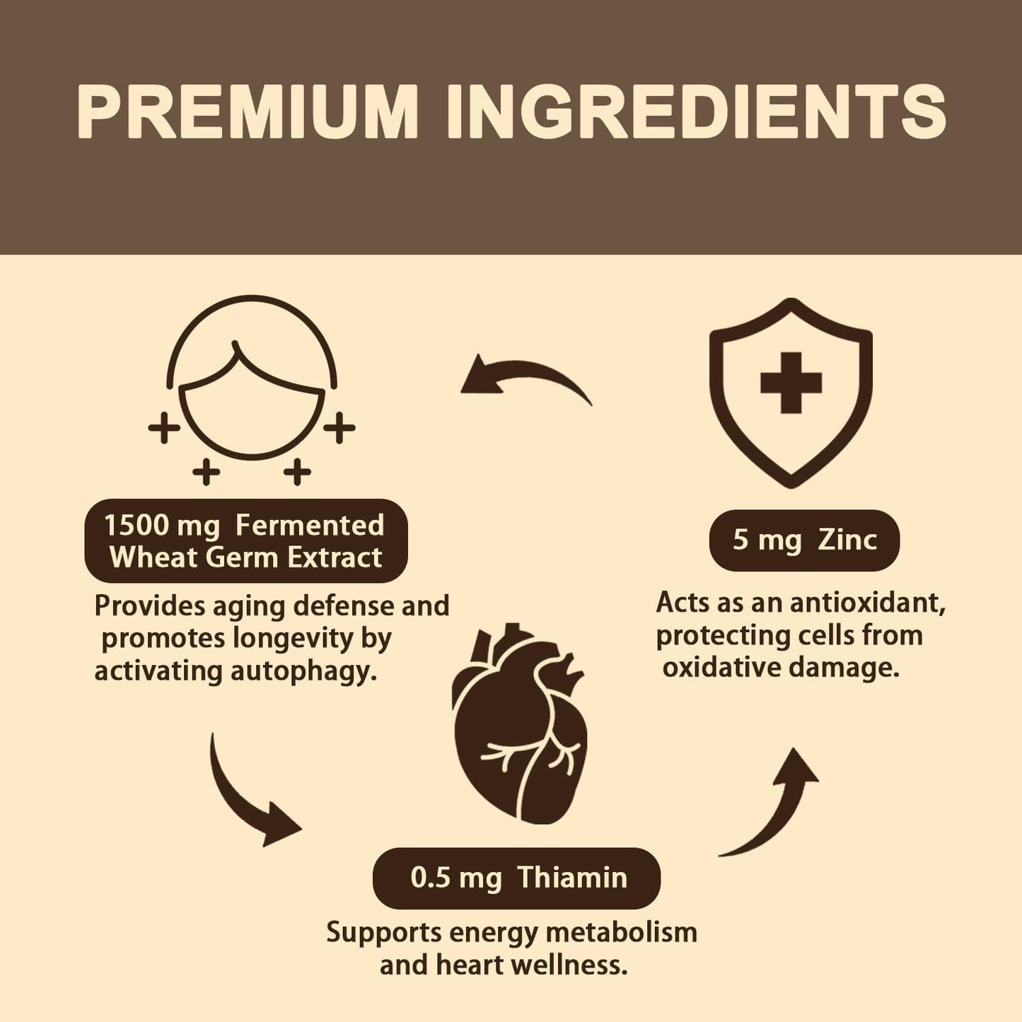 Spermidine Supplement 15 mg – 99% Purity, High Absorption, with Zinc & Thiamin – 120 Softgels - görsel 6