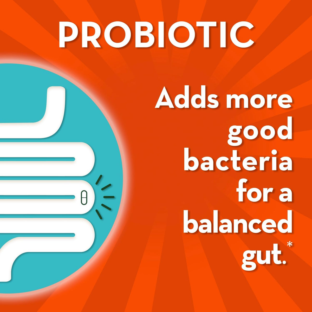 Align Digestive De-Stress Probiotic, 21 Capsules - görsel 3