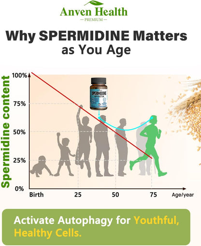 Spermidine & Fisetin Food Supplement - 20mg Spermidine & 300mg Fisetin per serving, 30 Vegetable Capsules