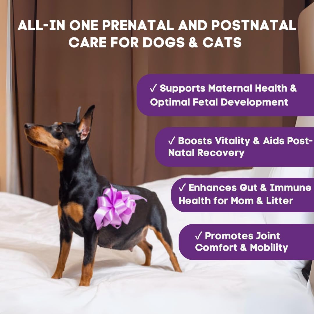 Prenatal Vitamins for Dogs & Cats – Pre & Postnatal Supplement with Probiotics, Glucosamine, MSM, CoQ10, & Essential Vitamins – Supports Pregnancy, Nursing & Recovery – 90 Soft Chews (Salmon Flavour) - görsel 2
